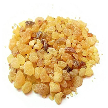 Boswellia Serrata